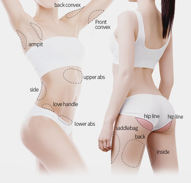buttocks